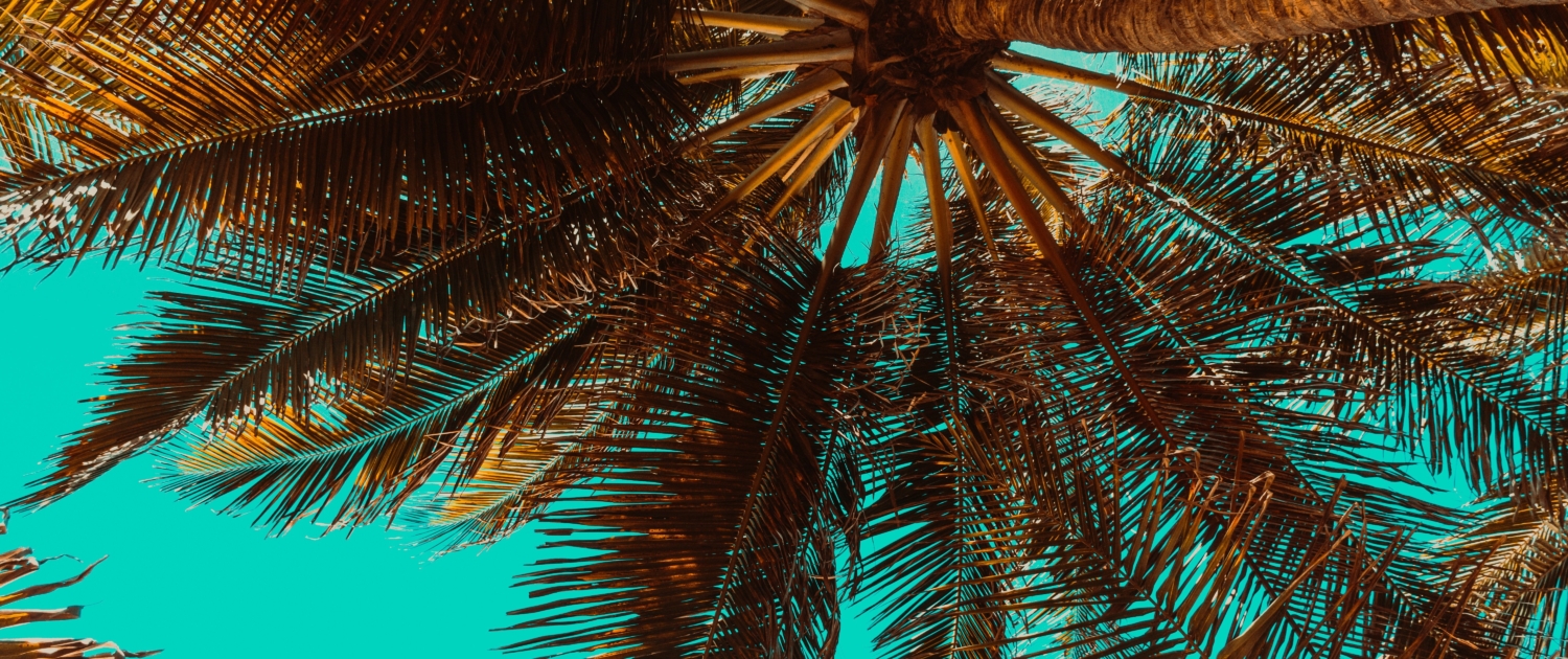 Bild von Didio dcc auf Pixabay