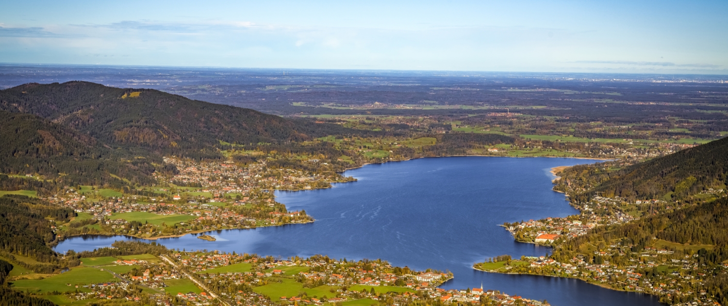 Bild von Reiner auf Pixabay