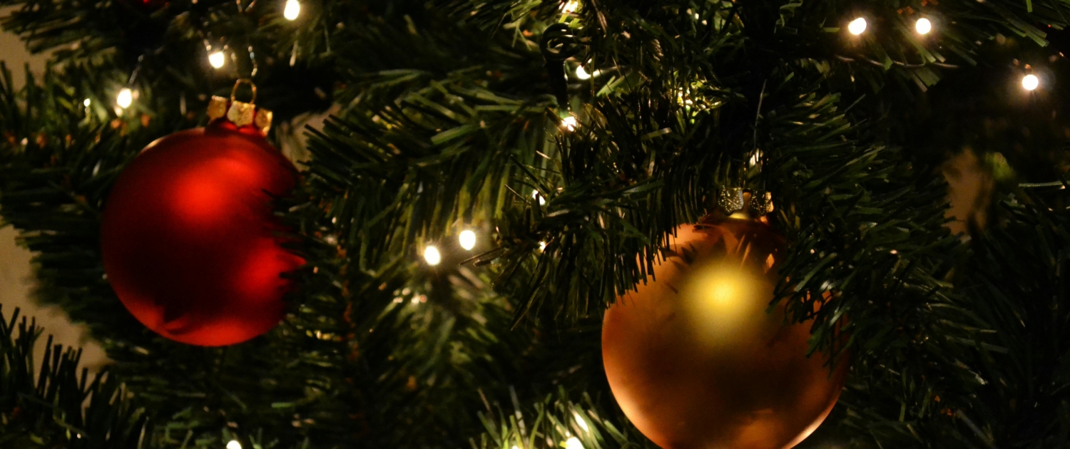 pexels-daniela-elena-tentis-118658-364667 (1)