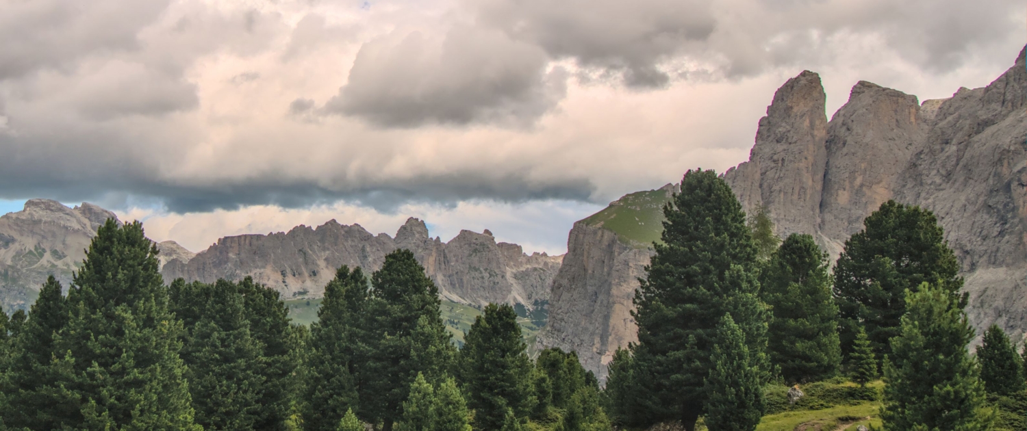 pexels-gi-gi-1289764006-26734989