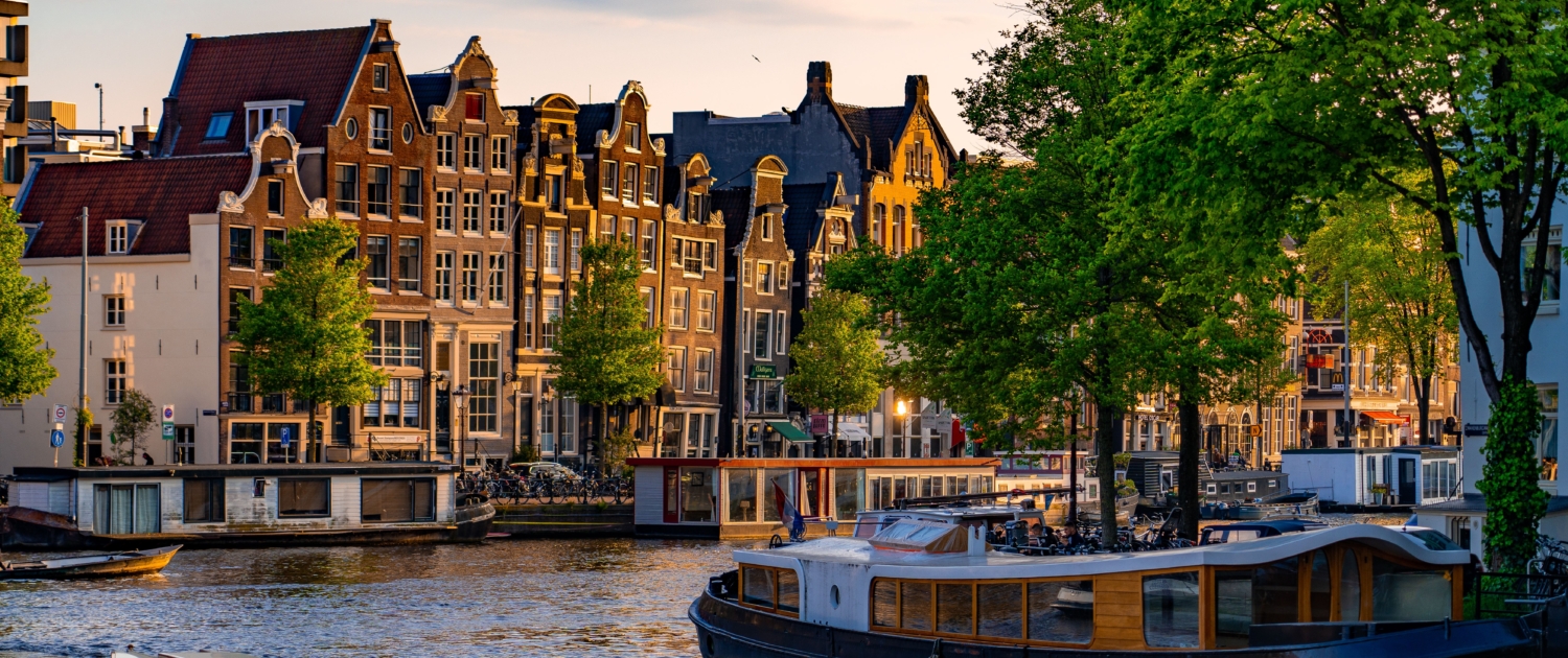 pexels-paul-scheelen-269808325-16981245