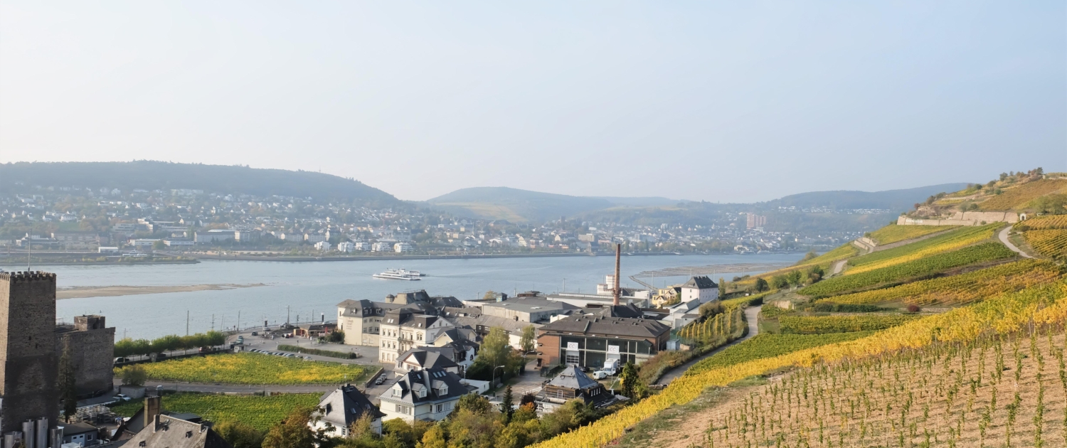 unikketravel-rudesheim-6596727