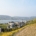 Sternenzauber in Rüdesheim
